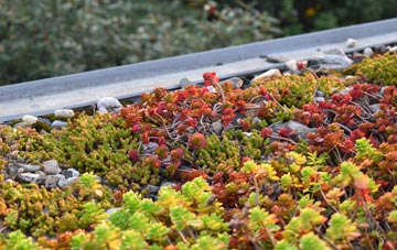 the cost of Kirkbampton green roof installation
