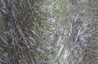 Kirkbampton fibreglass roof work